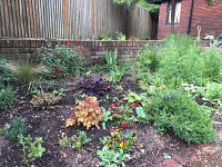 Socially distanced gardening!