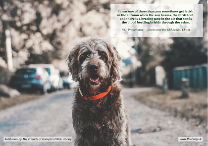 Autumn and Winter Exhibition