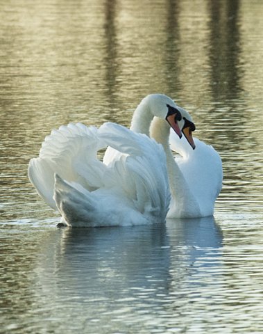 Summer Exhibition 2016